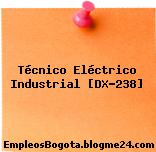 Técnico Eléctrico Industrial [DX-238]