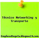 Técnico Networking y Transporte