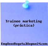 Trainee marketing (práctica)