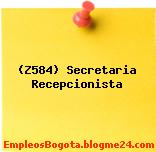 (Z584) Secretaria Recepcionista