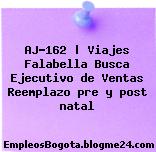 AJ-162 | Viajes Falabella Busca Ejecutivo de Ventas Reemplazo pre y post natal