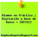Alumno en Práctica : Digitación y Base de Datos – [AY721]