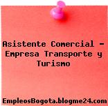 Asistente Comercial – Empresa Transporte y Turismo
