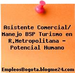 Asistente Comercial/ Manejo BSP Turismo en R.Metropolitana – Potencial Humano