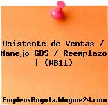 Asistente de Ventas / Manejo GDS / Reemplazo | (WB11)