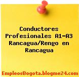 Conductores Profesionales A1-A3 Rancagua/Rengo en Rancagua
