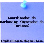 Coordinador de Marketing (Operador de Turismo)