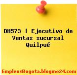 DH573 | Ejecutivo de Ventas sucursal Quilpué