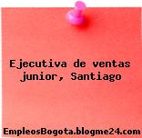 Ejecutiva de ventas junior, Santiago