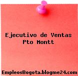 Ejecutivo de Ventas Pto Montt