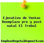 Ejecutivo de Ventas Reemplazo pre y post natal El Trebol