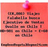 (ER.886) Viajes Falabella busca Ejecutivo de Ventas Ovalle en Chile | HD-981 en Chile – E-60 en Chile