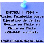 EXF795] | Y604 – Viajes Falabella busca Ejecutivo de Ventas Ovalle en Chile en Chile en Chile (ZM-044) en Chile
