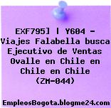 EXF795] | Y604 – Viajes Falabella busca Ejecutivo de Ventas Ovalle en Chile en Chile en Chile (ZM-044)