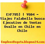 EXF795] | Y604 – Viajes Falabella busca Ejecutivo de Ventas Ovalle en Chile en Chile