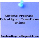 Gerente Programa Estratégico Transforma Turismo