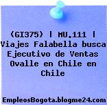 (GI375) | MU.111 | Viajes Falabella busca Ejecutivo de Ventas Ovalle en Chile en Chile