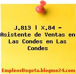 J.813 | X.84 – Asistente de Ventas en Las Condes en Las Condes