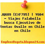 JQ689 [EXF795] | Y604 – Viajes Falabella busca Ejecutivo de Ventas Ovalle en Chile en Chile