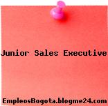 Junior Sales Executive