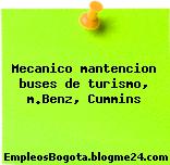 Mecanico mantencion buses de turismo, m.Benz, Cummins