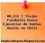 MU.111 | Viajes Falabella busca Ejecutivo de Ventas Ovalle en Chile