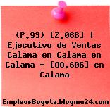 (P.93) [Z.066] | Ejecutivo de Ventas Calama en Calama en Calama – [OO.606] en Calama