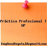 Práctica Profesional | UP