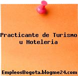 Practicante de Turismo u Hoteleria