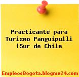Practicante para Turismo Panguipulli |Sur de Chile