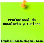 Profesional de Hoteleria y Turismo