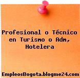 Profesional o Técnico en Turismo o Adm, Hotelera