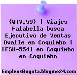 (QTV.59) | Viajes Falabella busca Ejecutivo de Ventas Ovalle en Coquimbo | [ESH-554] en Coquimbo en Coquimbo