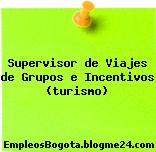 Supervisor de Viajes de Grupos e Incentivos (turismo)