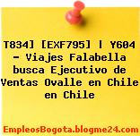 T834] [EXF795] | Y604 – Viajes Falabella busca Ejecutivo de Ventas Ovalle en Chile en Chile