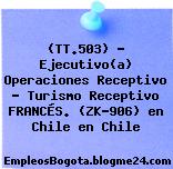 (TT.503) – Ejecutivo(a) Operaciones Receptivo – Turismo Receptivo FRANCÉS. (ZK-906) en Chile en Chile