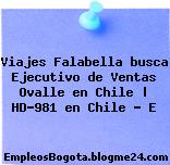 Viajes Falabella busca Ejecutivo de Ventas Ovalle en Chile | HD-981 en Chile – E