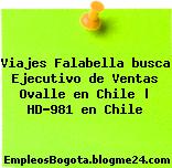 Viajes Falabella busca Ejecutivo de Ventas Ovalle en Chile | HD-981 en Chile