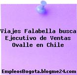 Viajes Falabella busca Ejecutivo de Ventas Ovalle en Chile