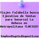 Viajes Falabella busca Ejecutivo de Ventas para Sucursal La Dehesa en Metropolitana (LWC318)
