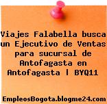 Viajes Falabella busca un Ejecutivo de Ventas para sucursal de Antofagasta en Antofagasta | BYQ11