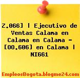 Z.066] | Ejecutivo de Ventas Calama en Calama en Calama – [OO.606] en Calama | NI661