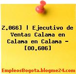 Z.066] | Ejecutivo de Ventas Calama en Calama en Calama – [OO.606]