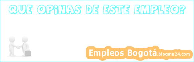 Asistente de Niños 4 horas (16:00 – 20:00). Programa Vacaciones en mi Jardín. JI Patrona de Chile Comuna Maipú RMNP