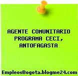 AGENTE COMUNITARIO PROGRAMA CECI, ANTOFAGASTA