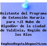Asistente del Programa de Extensión Horaria para “JI Nube de Algodón” de la ciudad de Valdivia, Región de los Ríos