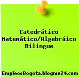 Catedrático Matemático/Algebráico Bilingue