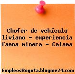 Chofer de vehículo liviano – experiencia faena minera – Calama