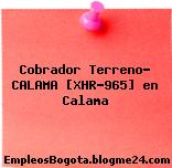Cobrador Terreno- CALAMA [XHR-965] en Calama