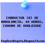 CONDUCTOR (A) DE AMBULANCIA, 44 HORAS, COMUNA DE HUALAIHUE
